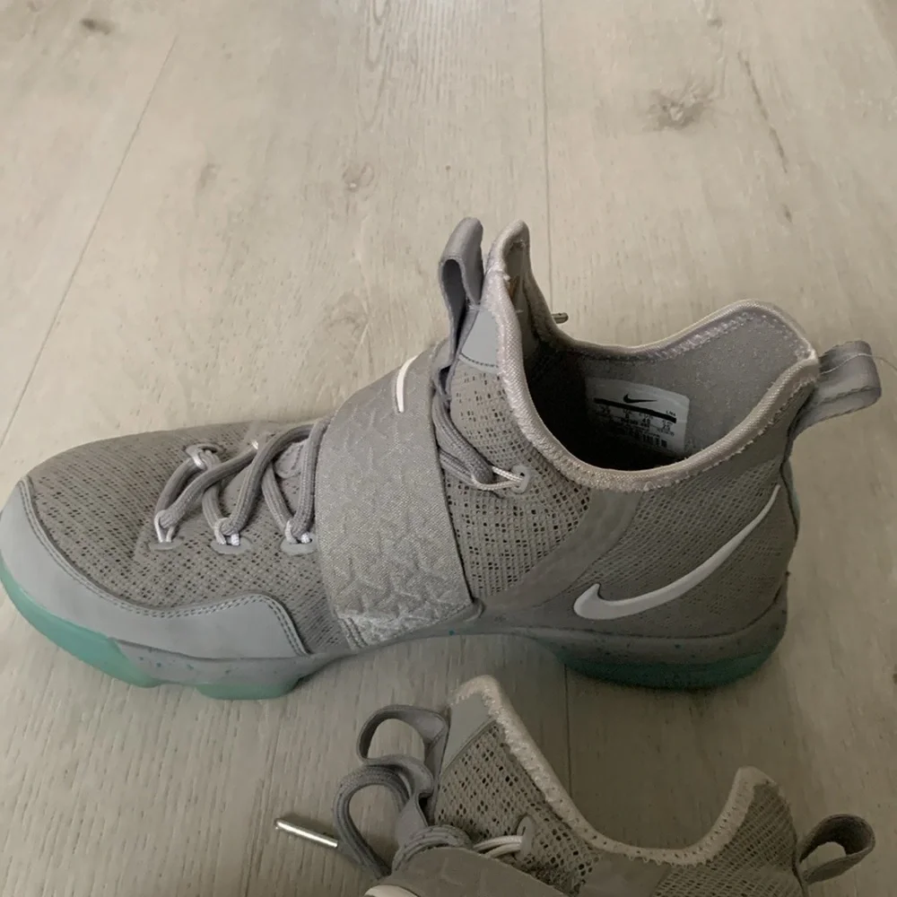 Nike lebron 14